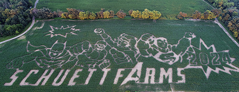 This is a picture of the best corn maze in Wisconsin